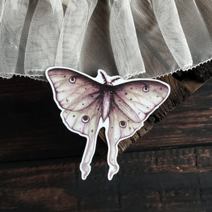 Luna Moth Magnet