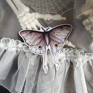 Luna Moth Magnet