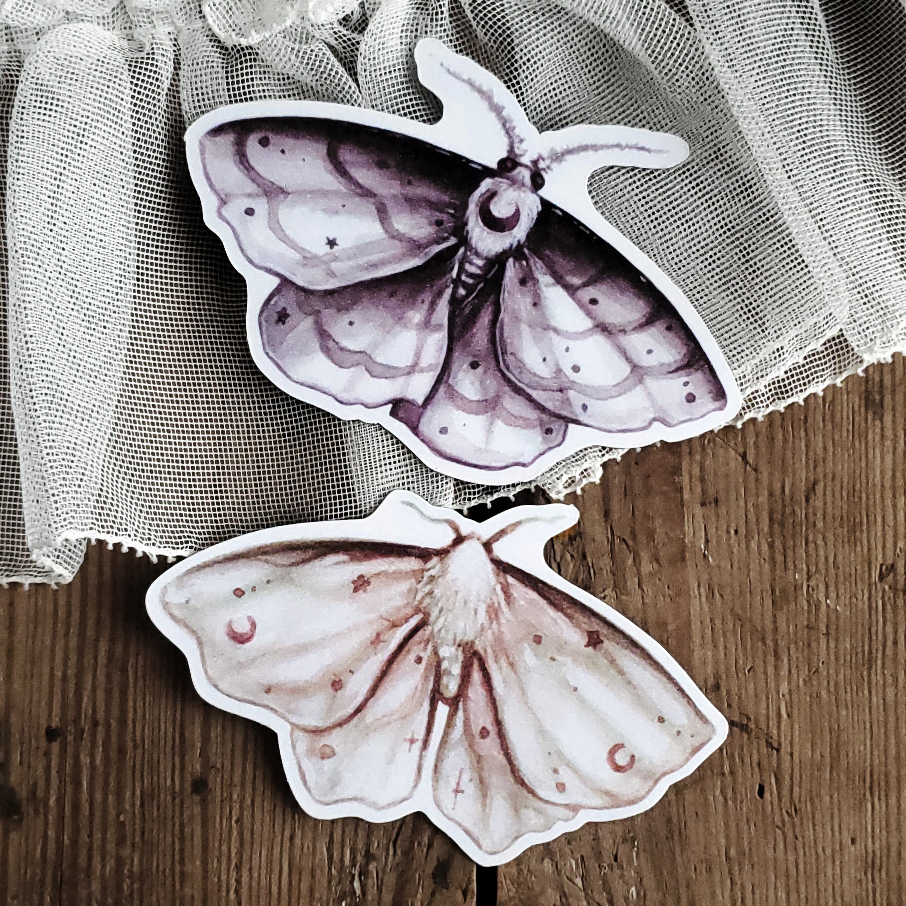 Moon Moth Magnets
