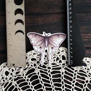 Luna Moth Magnet