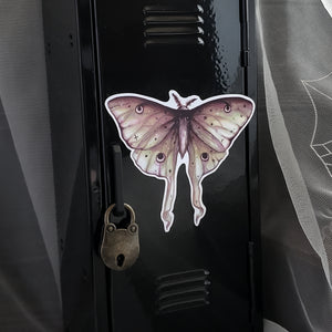 Luna Moth Magnet
