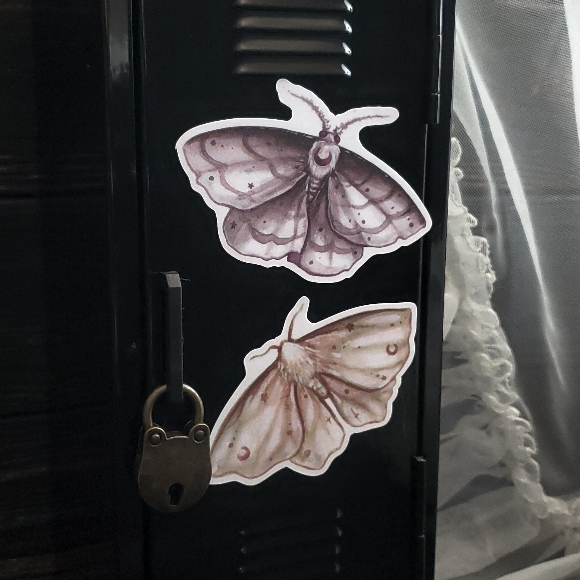 Moon Moth Magnets