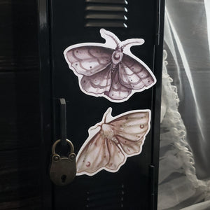 Moon Moth Magnets