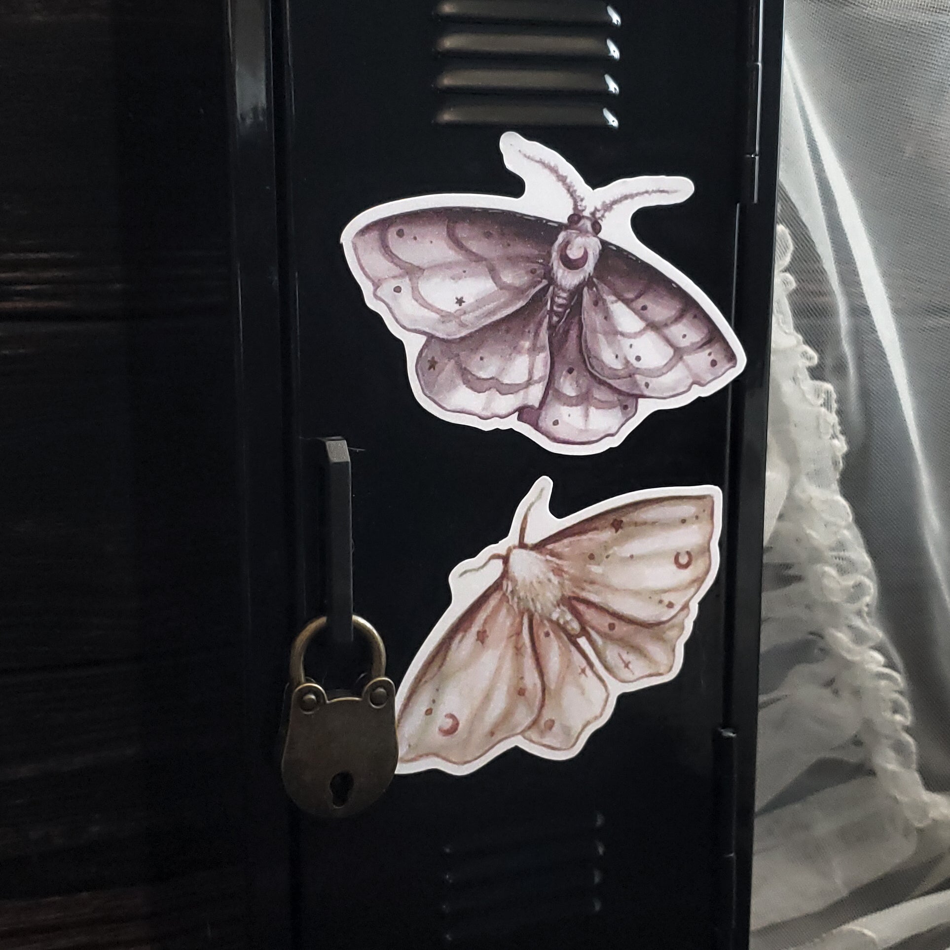 Moon Moth Magnets
