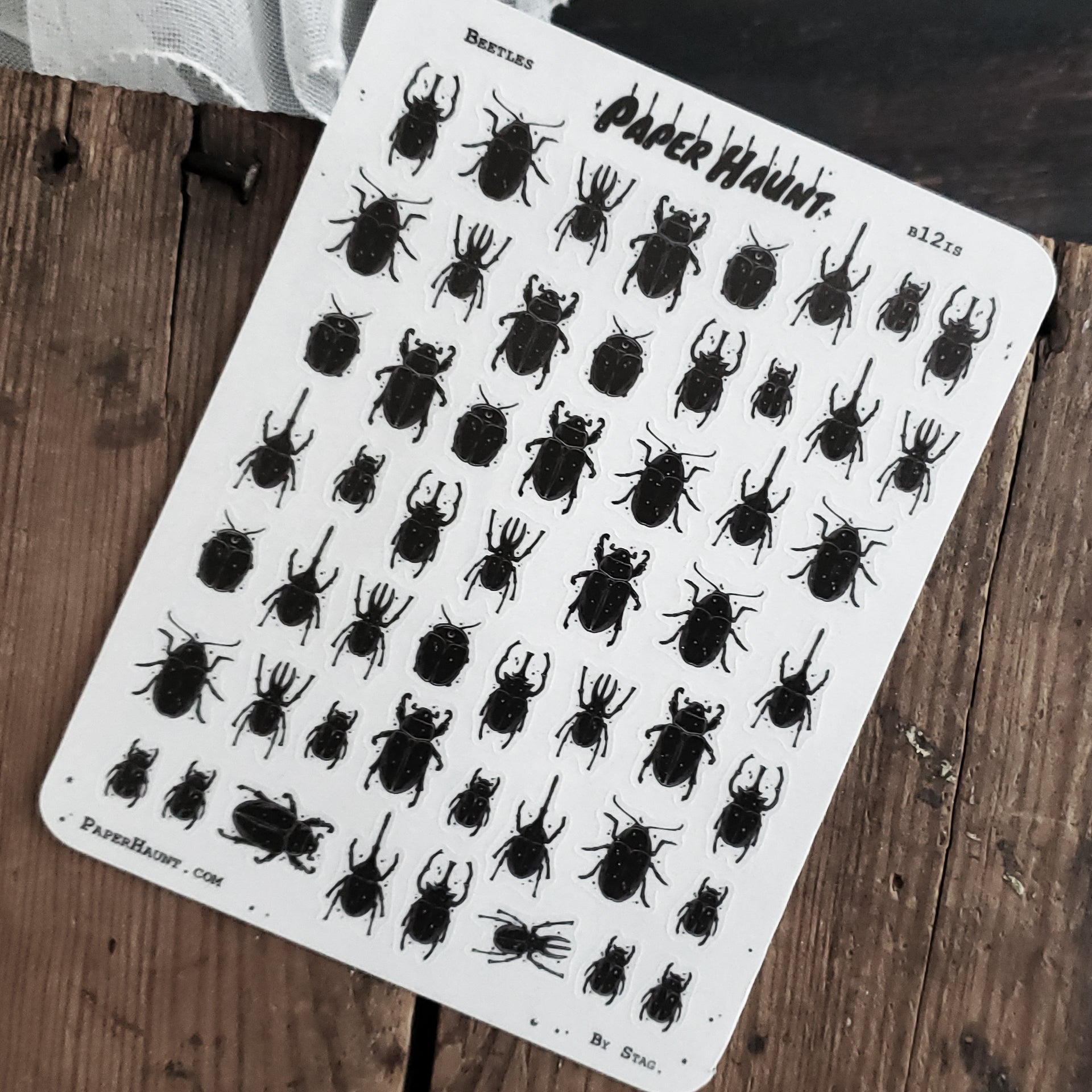 Beetle Planner STICKER Sheet